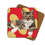 Tabby Cat II Coaster by Designer Leslie Gerry