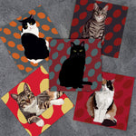 Cat Card Pack Wallet
