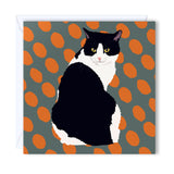 Birthday Card Cat sitting with a Grey and orange background