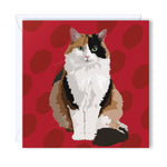 Birthday Card Tortoiseshell cat with a beautiful coat 