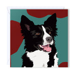 Birthday Card blacks and white Border Collie looking ready to hear a command