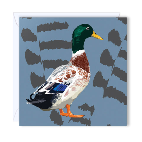 Birthday Card Duck with a green head and blue feathers