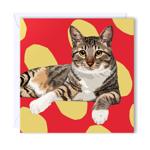 Greeting Card Cat lying down staring at you