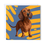 Greeting Card Dachshund looking upwards with a cute little face